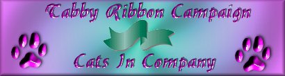 Tabby Ribbon Campaign