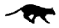 puma1.gif (1283 bytes)