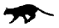 puma2.gif (1277 bytes)