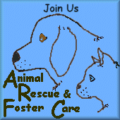 Animal Rescue & Foster Care Webring